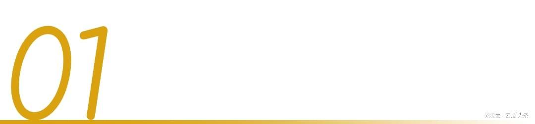 开云体育官网登录入口-冲着周杰伦“一轮游”来，却嗑起了澳网和国窖1573的CP